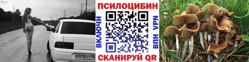 где найти наркотики  Инта  Галлюциногенные грибы Psilocybe 
